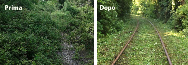 2016_04_28_lavori_decespugliamento